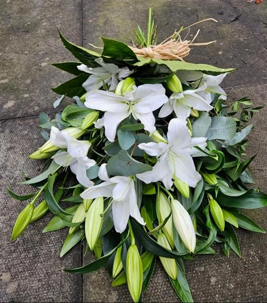 White Oriental Lily Tied Sheaf — Simple but classic white oriental lily spray and mixed foliages available in different sizes Please