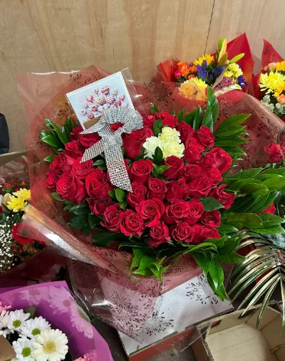 Romantica — Classic red roses