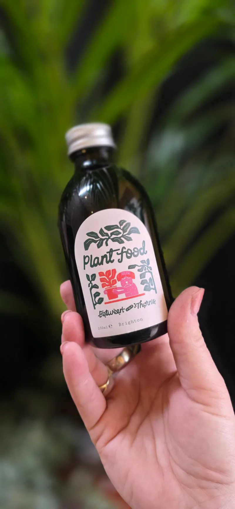 Between Two Thorns Plant Food — Nourishes plants for lush, vibrant growth. Seaweed feed is made from 100% seaweed. Simply dilute 10m