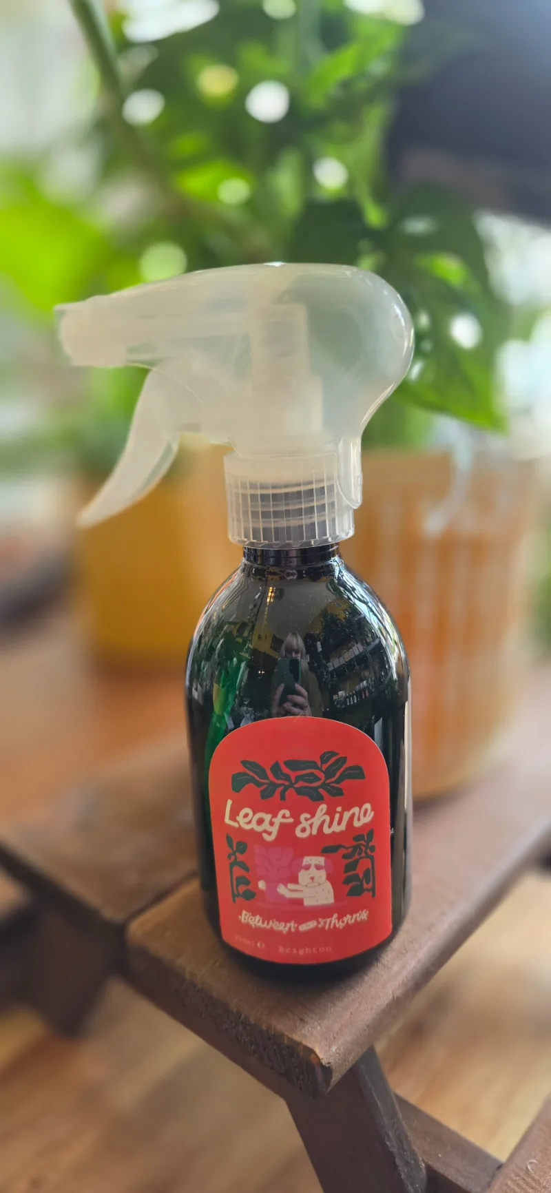 Leaf Shine — Leaf shine to keep your plants healthy. It contains Castile soap, white wine vinegar, coconut oil an