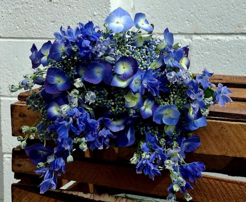 Latchkey Handtie — Banish the Blues with long lasting Hydrangeas & cottage garden favourite Delphiniums to lift spirit.