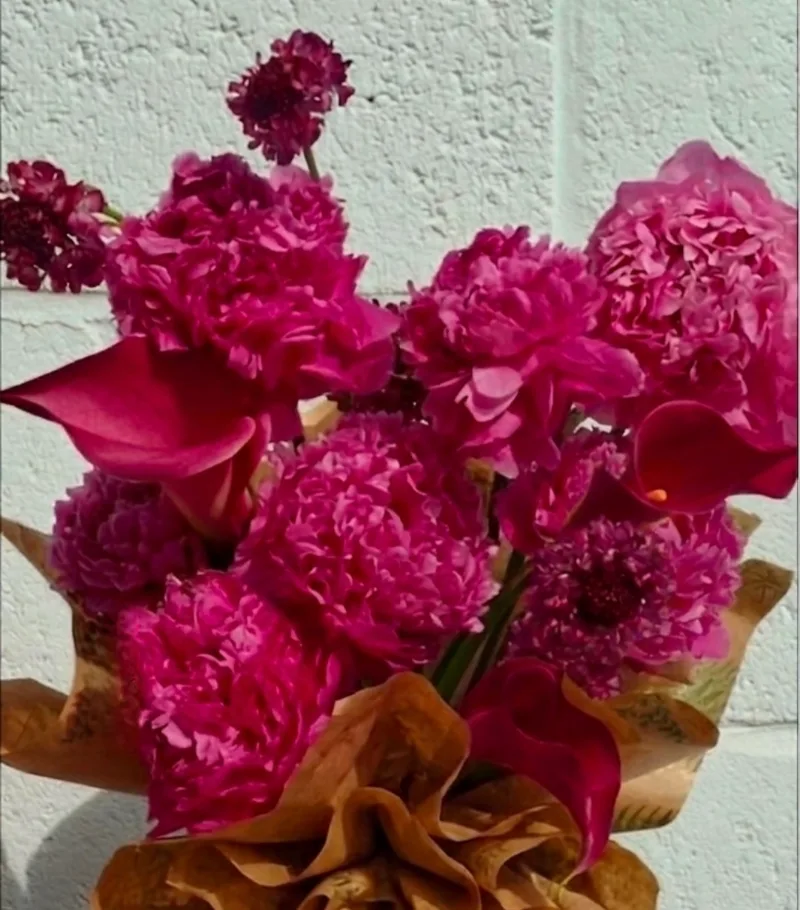 Paeony Mood Boost  — She's back for her 2026 seasonal debut. In the showy world of florals she's 'The' head turner on flo