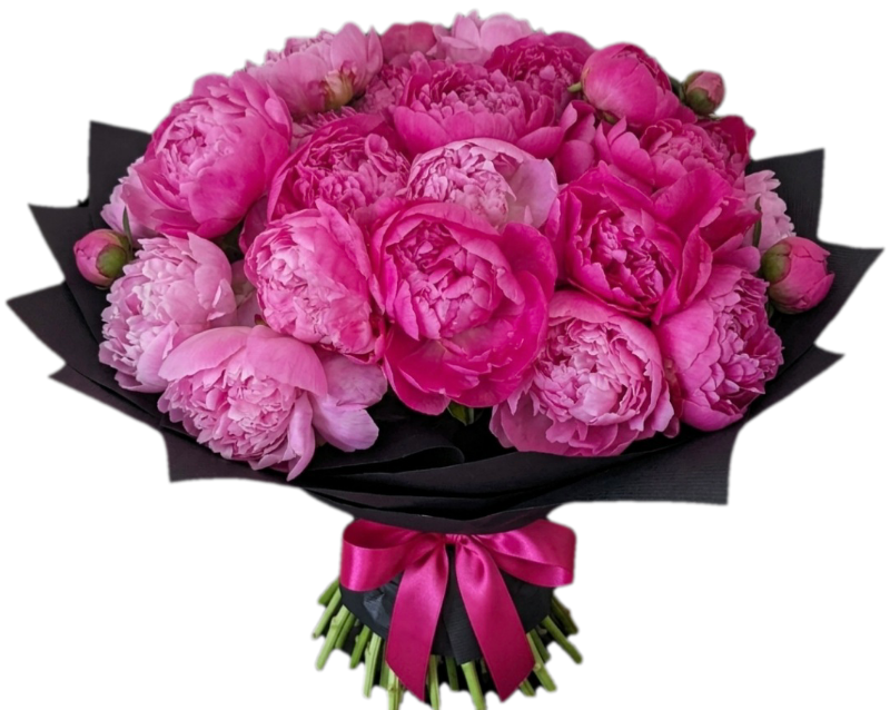 Paeony Mood Boost  — She's back for her 2026 seasonal debut. In the showy world of florals she's 'The' head turner on flo